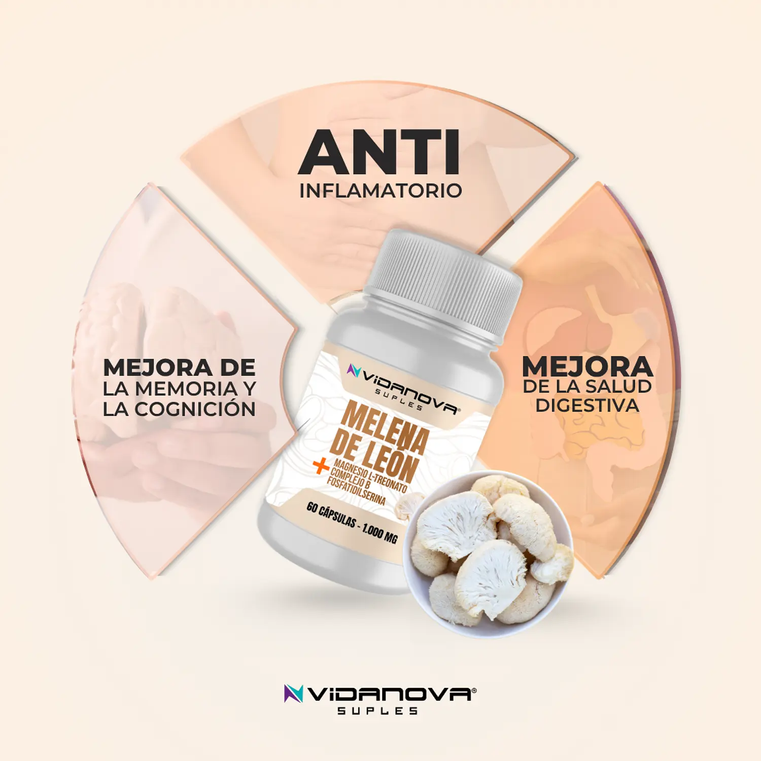 MELENA DE LEON FORTIFICADA