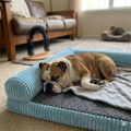Cama Para Mascota Perros Gatos Tipo Sofá